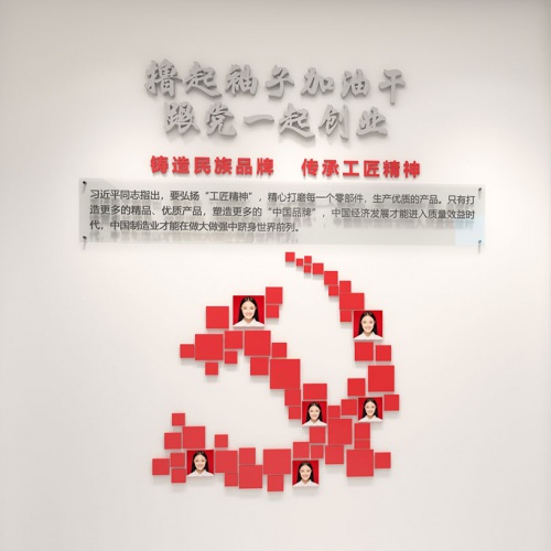 党建文化-四川瑞迪佳源机械有限公司企业及党建文化墙设计